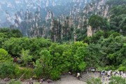 张家界最新新闻爆料,神秘洞穴发现罕见生物，探险之旅再掀热潮